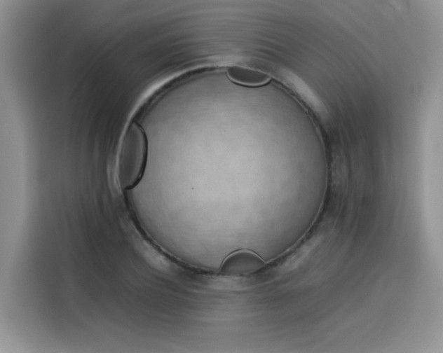 X0000113780932200910141035