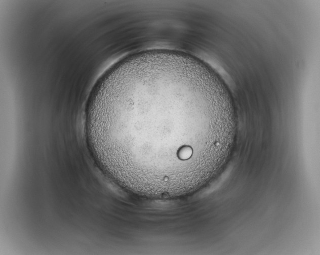 X0000113780933200910141035