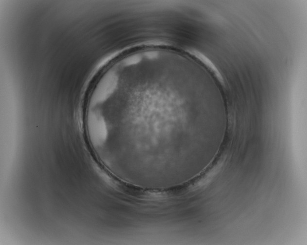 X0000113780935200910141035