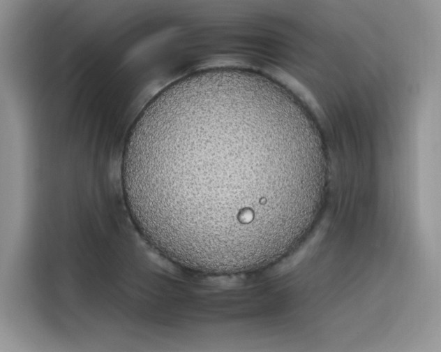 X0000113780937200910141035