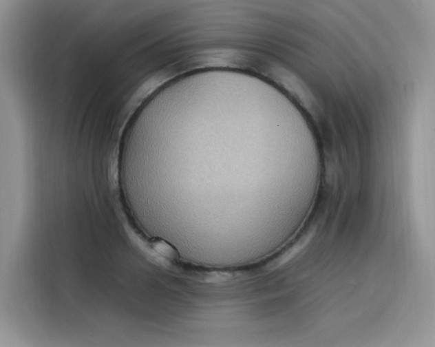 X0000113780938200910141035