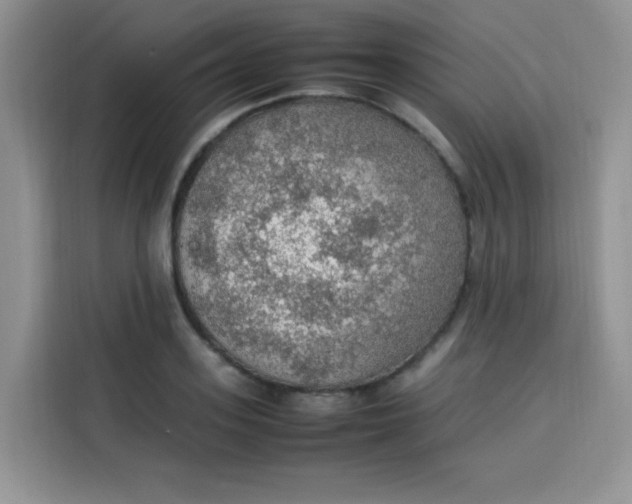 X0000113780939200910141035