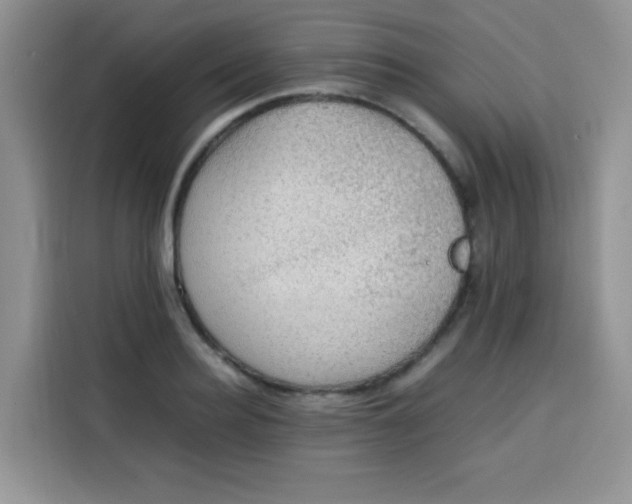 X0000113780940200910141035