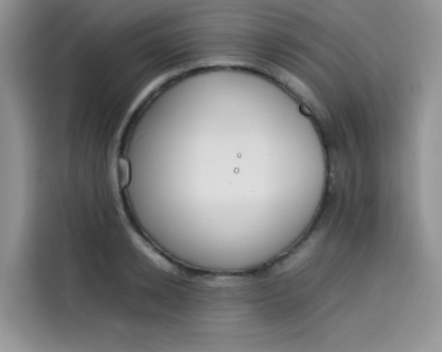 X0000113780942200910141035