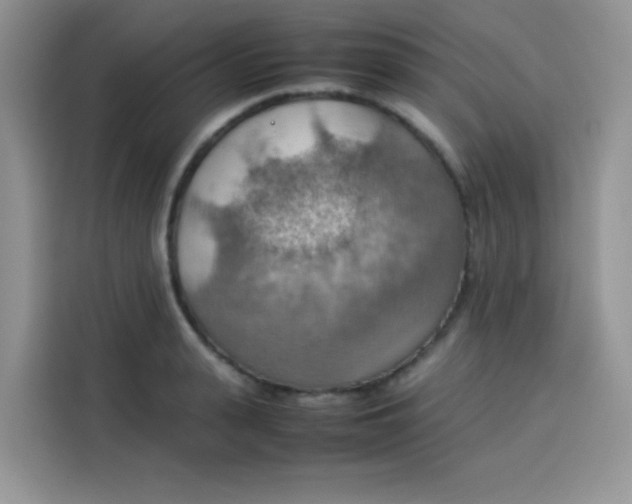 X0000113780943200910141035