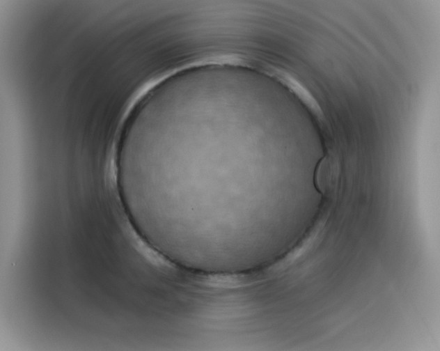 X0000113780944200910141035