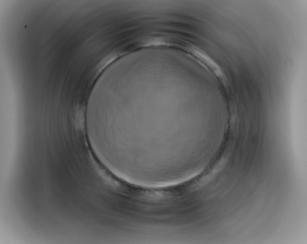 X0000113780945200910141035