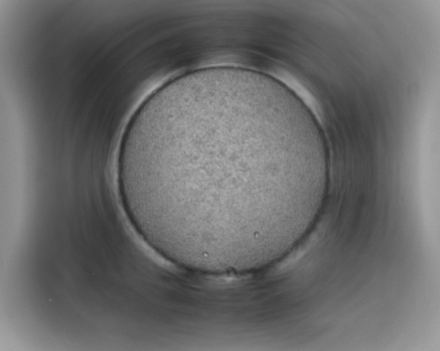 X0000113780949200910141036