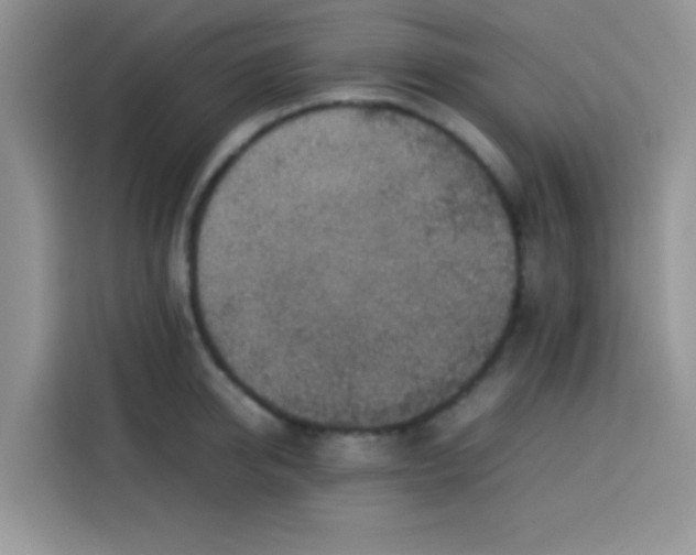 X0000113780950200910141036