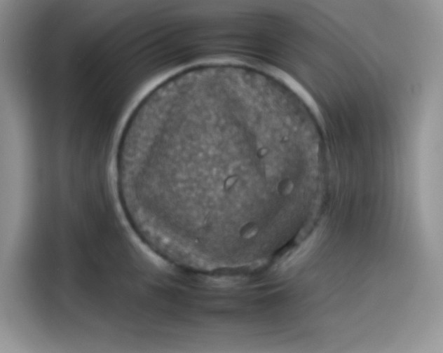 X0000113780951200910141036