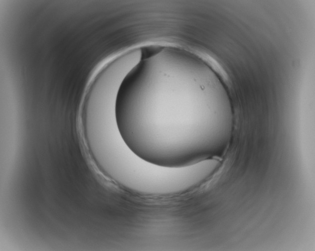 X0000113780952200910141036