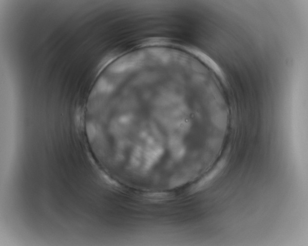 X0000113780953200910141036