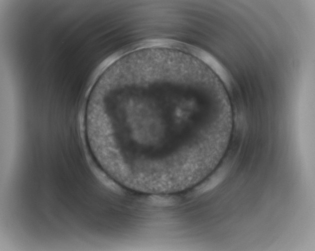 X0000113780954200910141036