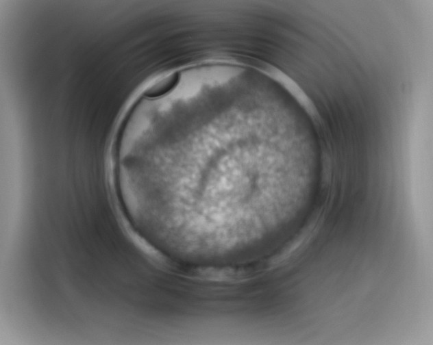 X0000113780955200910141036