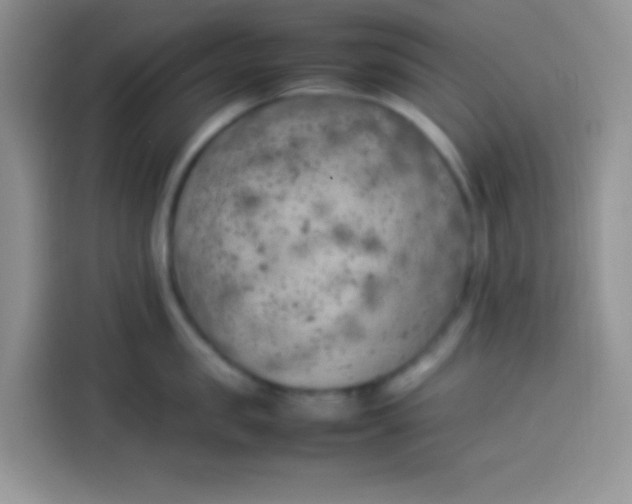 X0000113780957200910141036