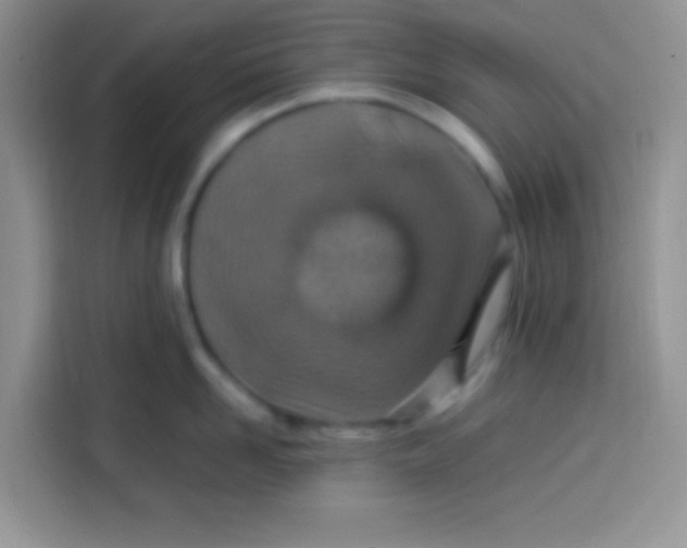 X0000113780958200910141036