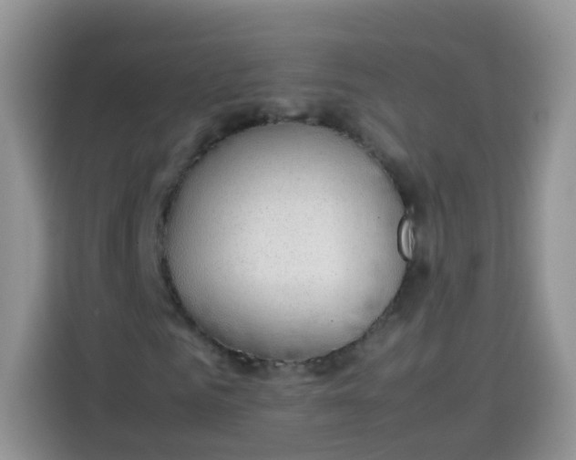 X0000113780961200910141035