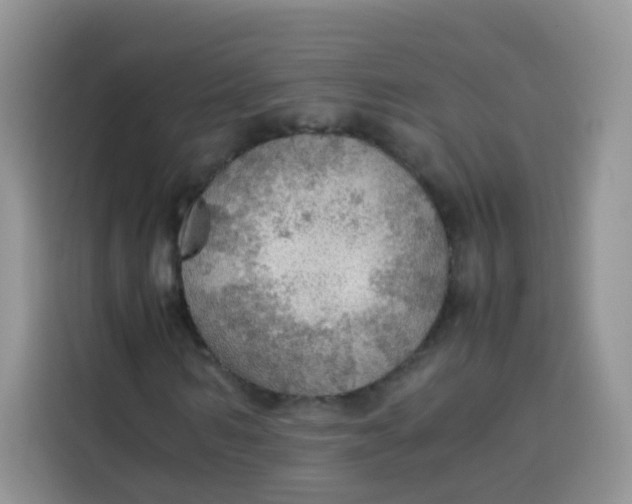 X0000113780962200910141035