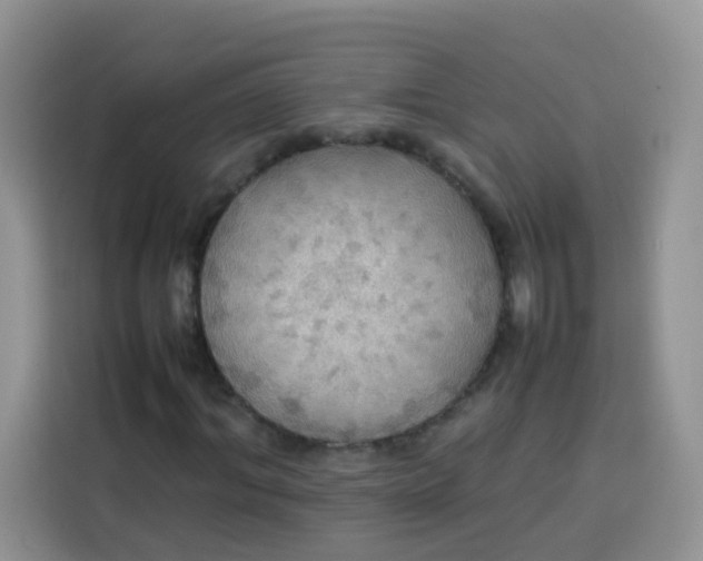 X0000113780964200910141035