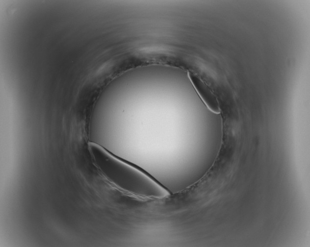 X0000113780965200910141035