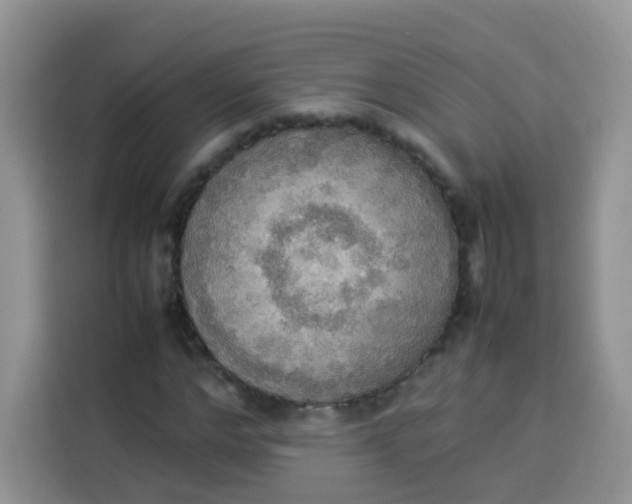 X0000113780968200910141035