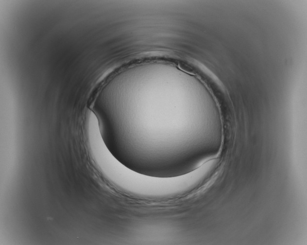 X0000113780969200910141035