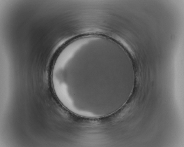 X0000113780975200910141035