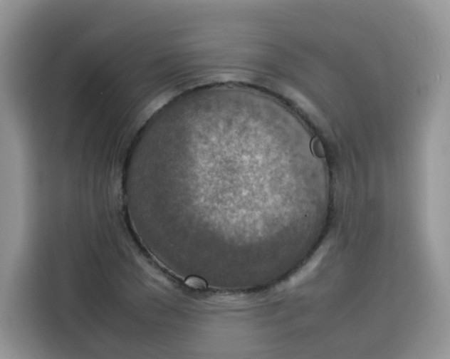 X0000113780977200910141035