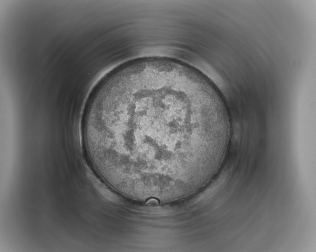 X0000113780980200910141035