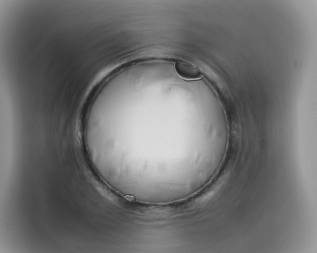 X0000113780981200910141035