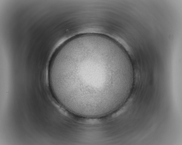 X0000113780982200910141035