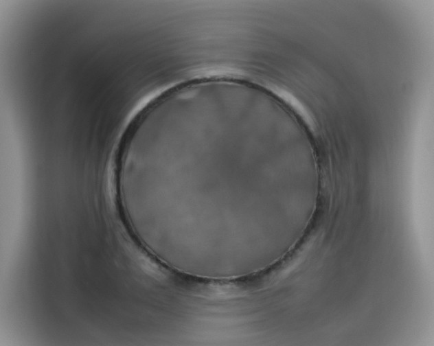 X0000113780983200910141035