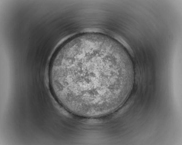 X0000113780984200910141035