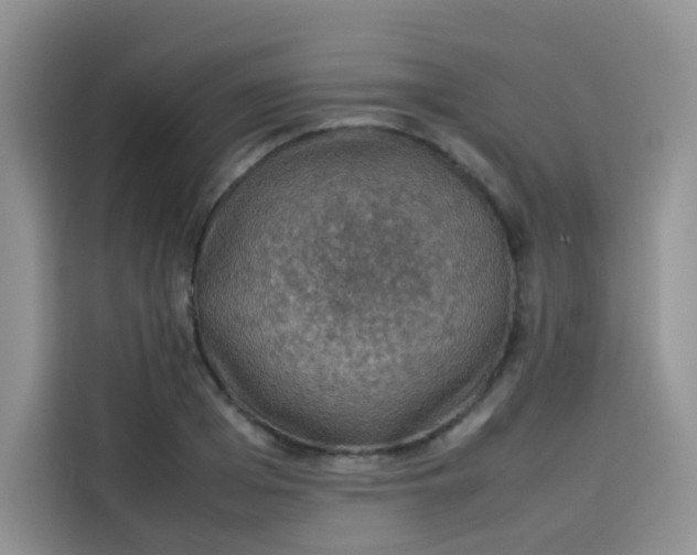 X0000113780985200910141035