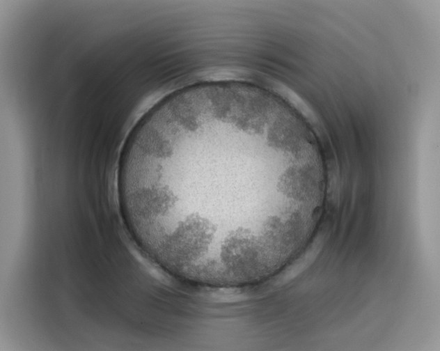 X0000113780986200910141035