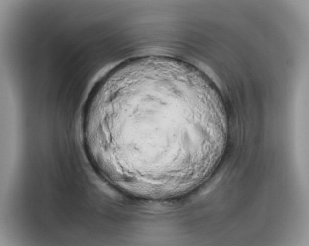 X0000113780987200910141035