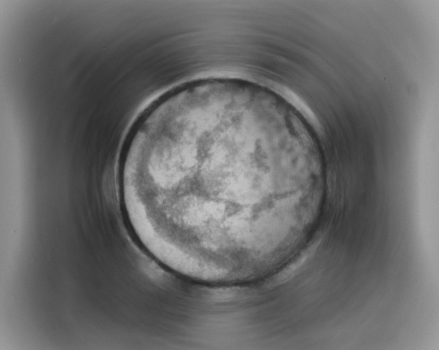 X0000113780988200910141035