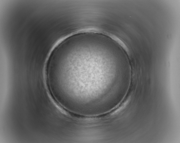 X0000113780989200910141035