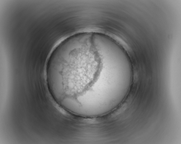 X0000113780990200910141035