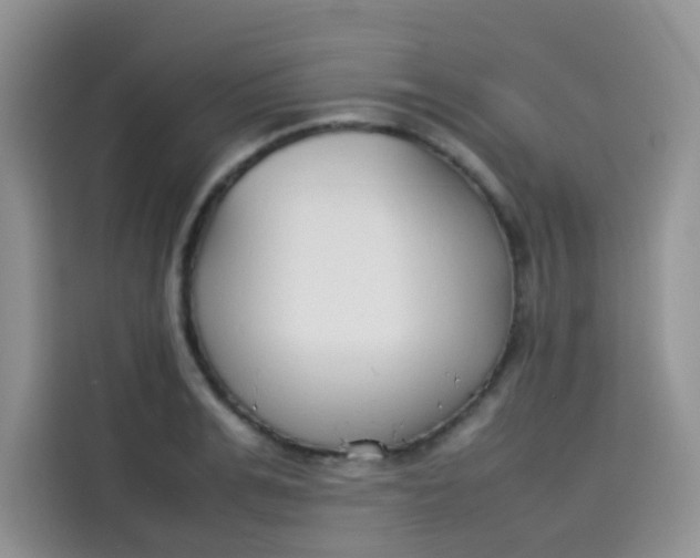 X0000113780991200910141035