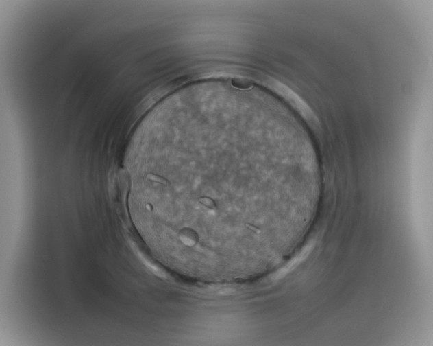 X0000113780993200910141035