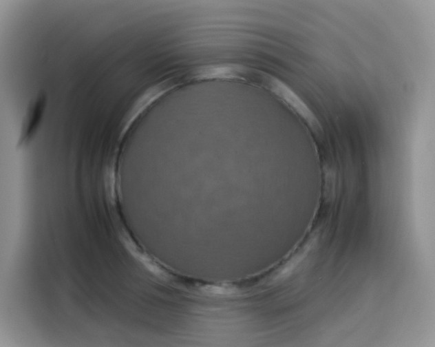 X0000113780994200910141035