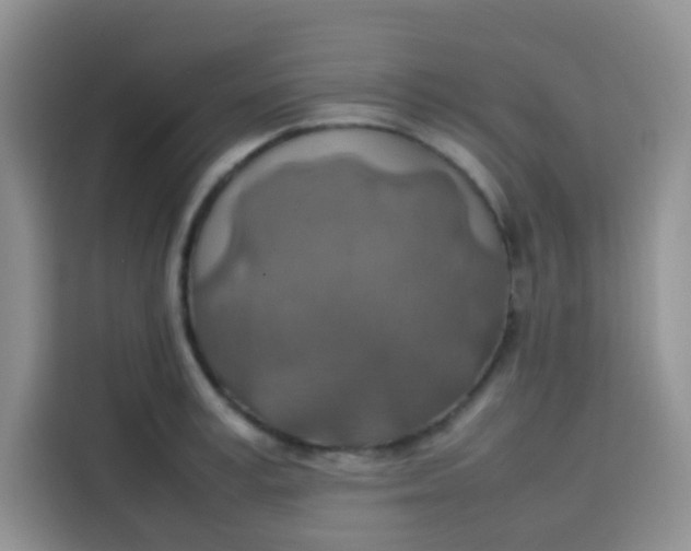 X0000113780995200910141035