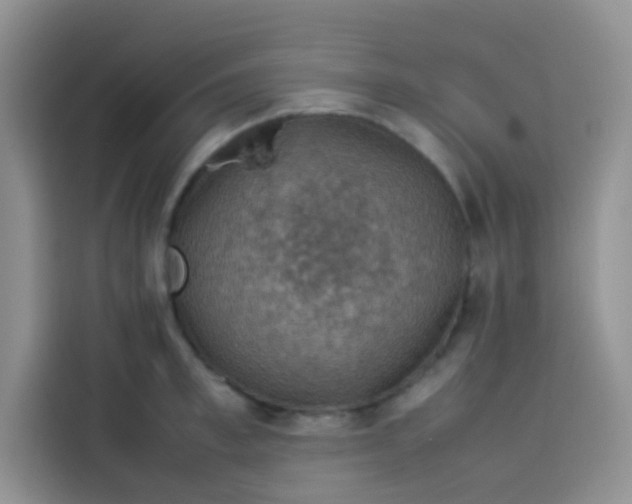 X0000113780997200910141035