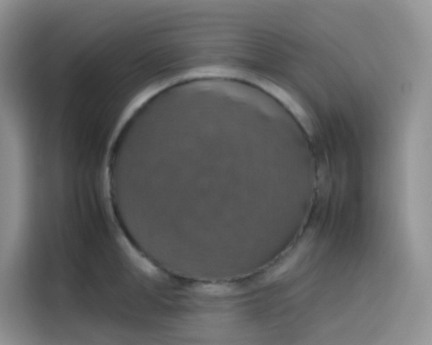 X0000113780998200910141035