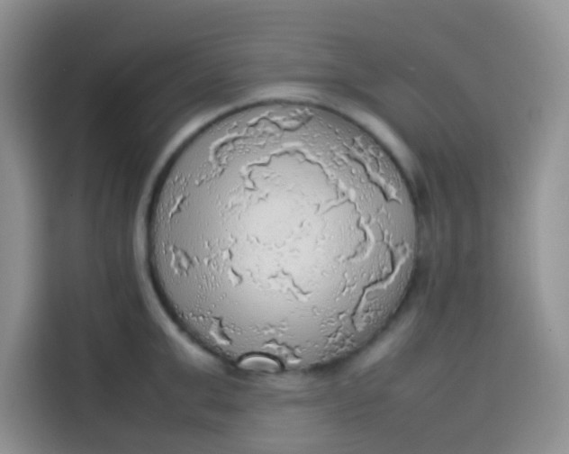 X0000113780999200910141035