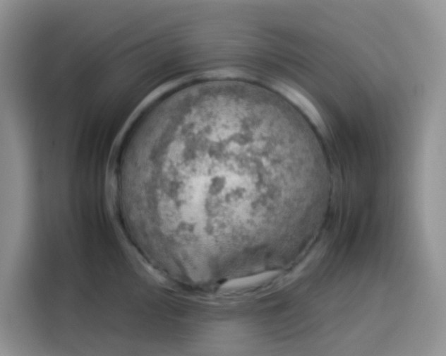 X0000113781000200910141035