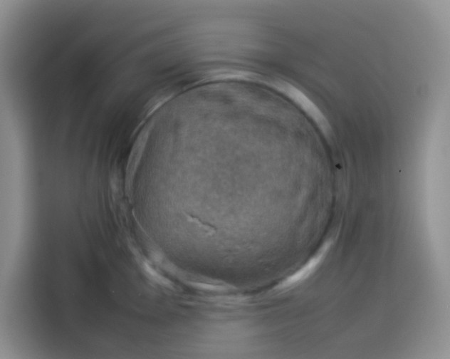 X0000113781001200910141035