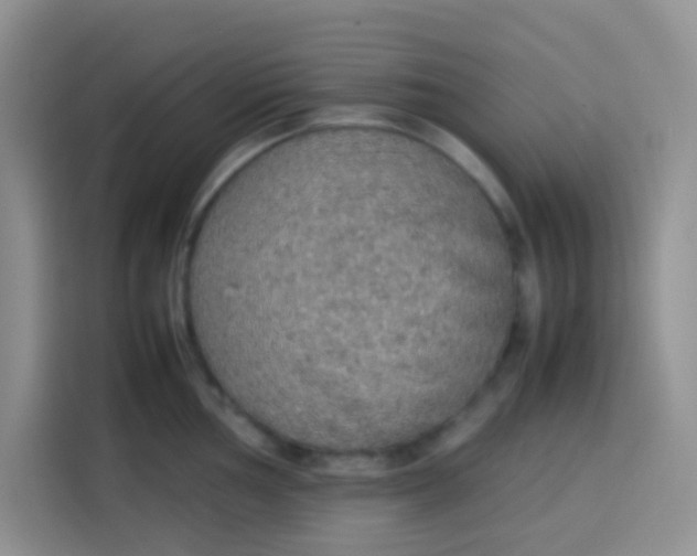 X0000113781002200910141035