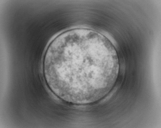 X0000113781004200910141034